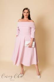 elegant plus size mother of the bride dresses